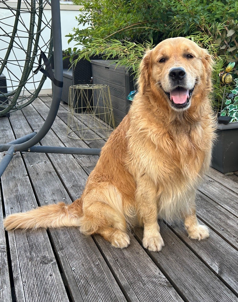 Red cloud De La Tribu De Cochise