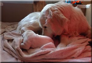 Willow est papa d'une petite princesse née le 9 mai 2025